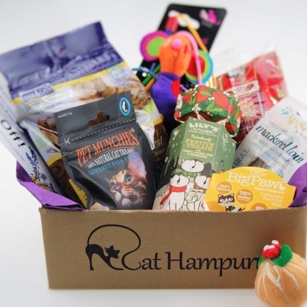 The Best Cat Subscription Boxes UK